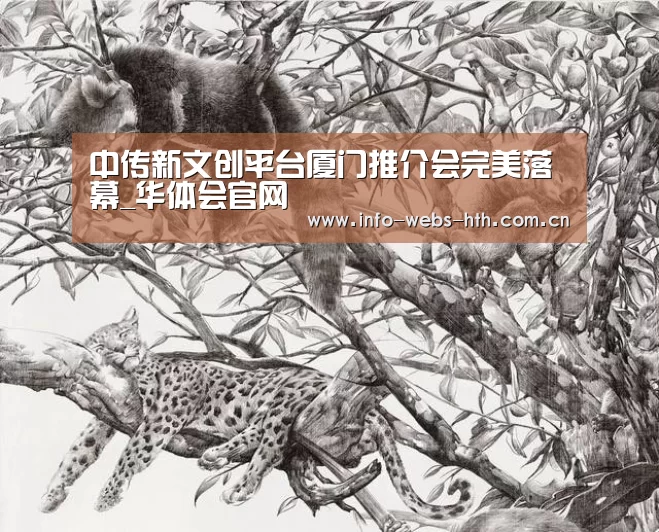 华体会体育