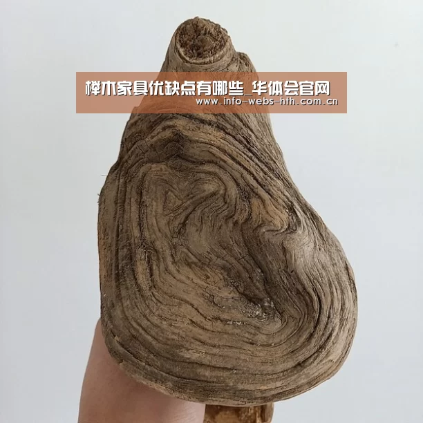 榉木家具优缺点有哪些_华体会官网(图2) 华体会网站